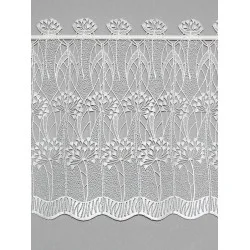 Spitzengardine Zierlauch