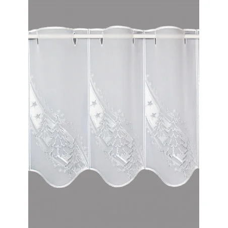 Kurzstore Silbertanne