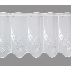 Kurzstore Silbertanne klein