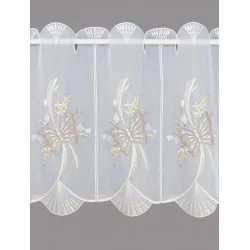 Kurzstore Schmetterlinge in...