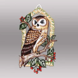 Fensterbild Waldkauz aus Plauener Spitze