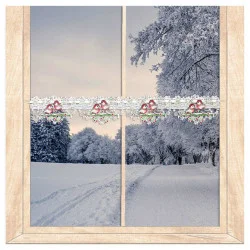 Kleine Plauener Spitzengardine Wintervögel