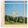 Filigranes Frühlings-Fensterbild mit einer zarten Margeriten-Ranke im sonnigen Garten-Ambiente am Fenster.