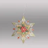 Stern mit Weihnachtsstern