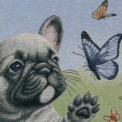 Detailbild des kleinen Hundes.